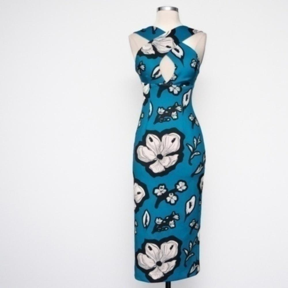 Kimberly Goldson. Chrissi peppermint floral sheath dress.‎ - Picture 2 of 16